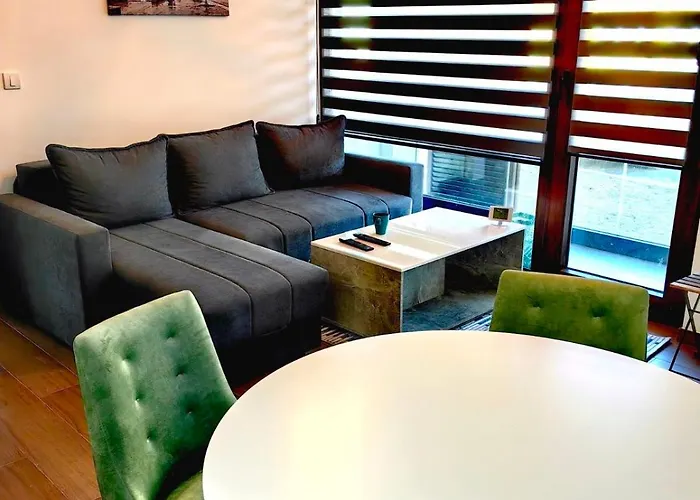 公寓 Borovi 3, 4 *